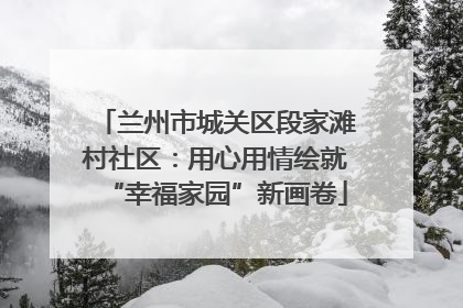 兰州市城关区段家滩村社区：用心用情绘就“幸福家园”新画卷