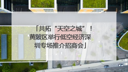 共拓“天空之城”！黄陂区举行低空经济深圳专场推介招商会