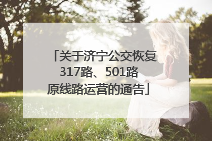 关于济宁公交恢复317路、501路原线路运营的通告