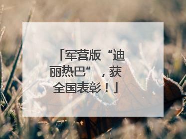 军营版“迪丽热巴”，获全国表彰！