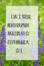 农工党沈阳市铁西区基层委员会召开换届大会