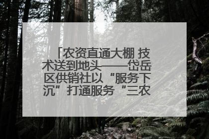 农资直通大棚 技术送到地头——岱岳区供销社以“服务下沉”打通服务“三农”最后一公里
