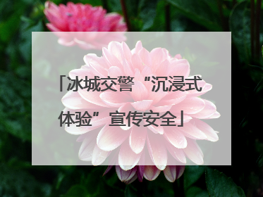 冰城交警“沉浸式体验”宣传安全