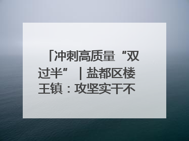 冲刺高质量“双过半”｜盐都区楼王镇：攻坚实干不停歇 奋力跑赢“上半场”