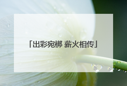 出彩宛梆 薪火相传