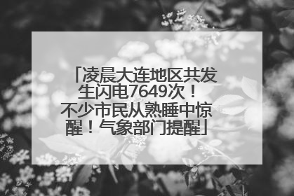 凌晨大连地区共发生闪电7649次！不少市民从熟睡中惊醒！气象部门提醒