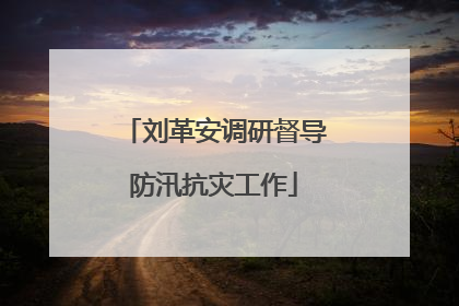 刘革安调研督导防汛抗灾工作