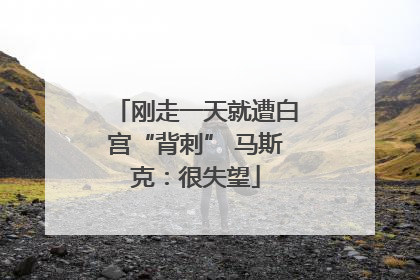 刚走一天就遭白宫“背刺” 马斯克：很失望