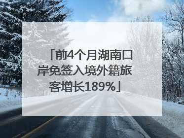 前4个月湖南口岸免签入境外籍旅客增长189%