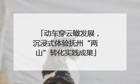 动车穿云瞰发展，沉浸式体验抚州“两山”转化实践成果
