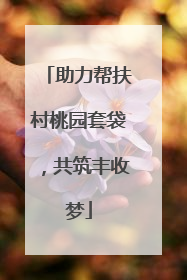助力帮扶村桃园套袋，共筑丰收梦