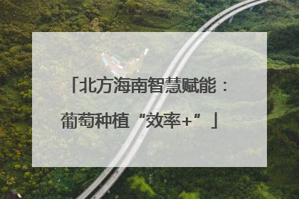 北方海南智慧赋能：葡萄种植“效率+”