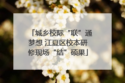 城乡校际“联”通梦想 江夏区校本研修现场“结”硕果