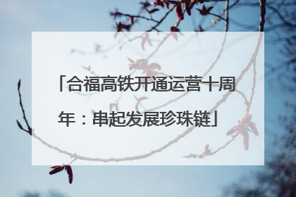 合福高铁开通运营十周年：串起发展珍珠链