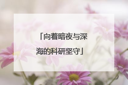 向着暗夜与深海的科研坚守