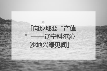 向沙地要“产值”——辽宁科尔沁沙地兴绿见闻