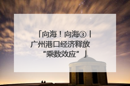 向海！向海③丨广州港口经济释放“乘数效应”