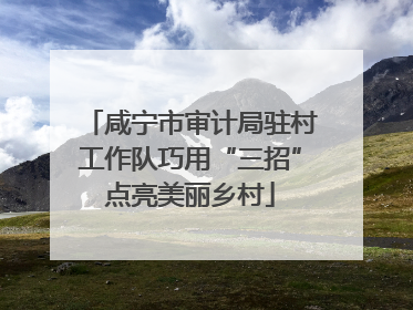 咸宁市审计局驻村工作队巧用“三招”点亮美丽乡村