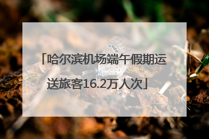 哈尔滨机场端午假期运送旅客16.2万人次
