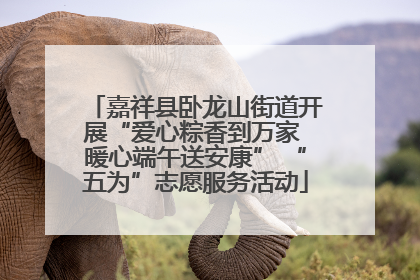 嘉祥县卧龙山街道开展“爱心粽香到万家 暖心端午送安康” “五为”志愿服务活动