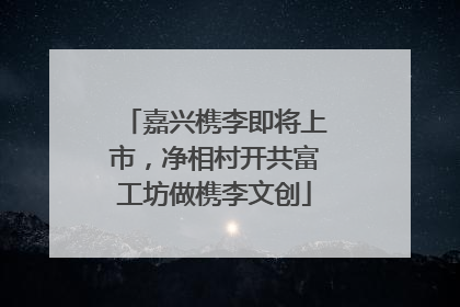 嘉兴槜李即将上市，净相村开共富工坊做槜李文创