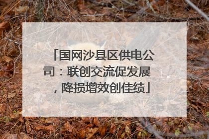 国网沙县区供电公司：联创交流促发展，降损增效创佳绩