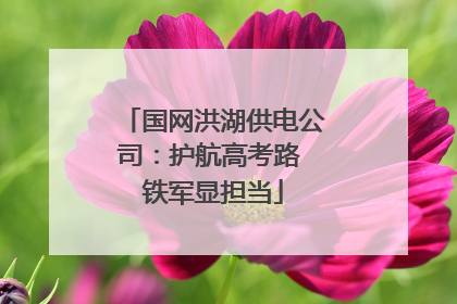 国网洪湖供电公司：护航高考路 铁军显担当