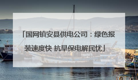 国网镇安县供电公司：绿色报装速度快 抗旱保电解民忧