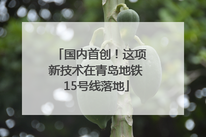 国内首创！这项新技术在青岛地铁15号线落地