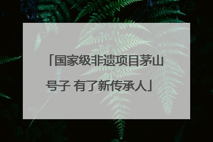 国家级非遗项目茅山号子 有了新传承人