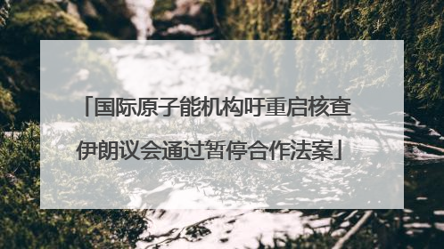 国际原子能机构吁重启核查 伊朗议会通过暂停合作法案