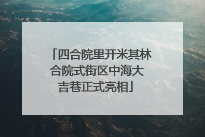 四合院里开米其林 合院式街区中海大吉巷正式亮相