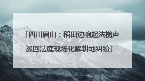 四川眉山：稻田边响起法槌声 巡回法庭现场化解耕地纠纷