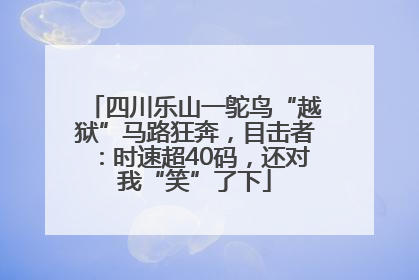 四川乐山一鸵鸟“越狱”马路狂奔，目击者：时速超40码，还对我“笑”了下