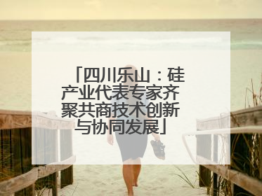 四川乐山：硅产业代表专家齐聚共商技术创新与协同发展