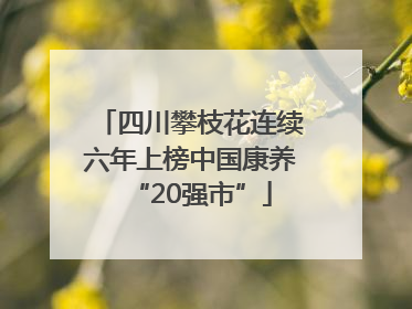 四川攀枝花连续六年上榜中国康养“20强市”