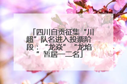 四川自贡征集“川超”队名进入投票阶段：“龙焱”“龙焰”暂居一二名