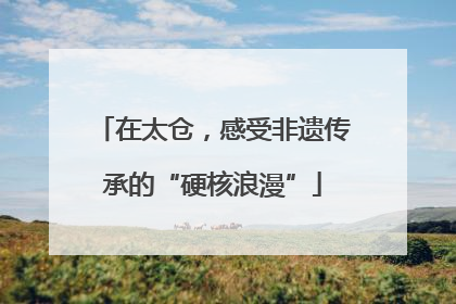 在太仓，感受非遗传承的“硬核浪漫”