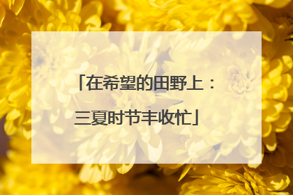 在希望的田野上：三夏时节丰收忙