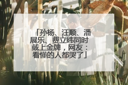 孙杨、汪顺、潘展乐、费立纬同时戴上金牌，网友：看懂的人都哭了