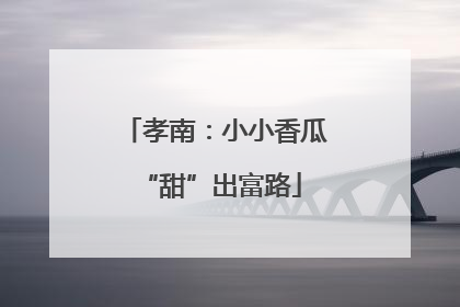 孝南：小小香瓜 “甜”出富路