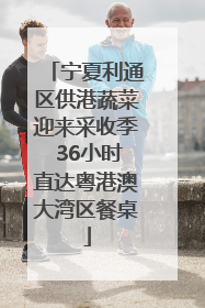 宁夏利通区供港蔬菜迎来采收季 36小时直达粤港澳大湾区餐桌