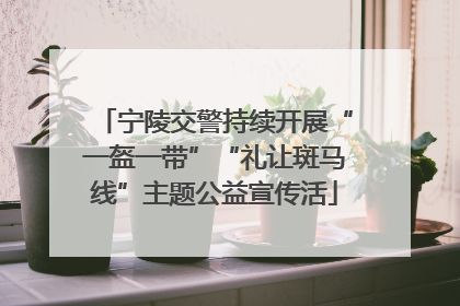宁陵交警持续开展“一盔一带”“礼让斑马线”主题公益宣传活