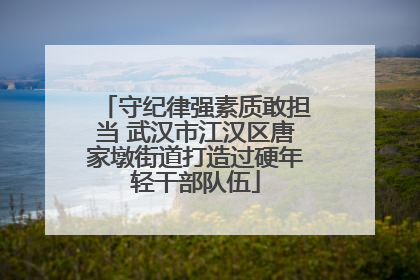守纪律强素质敢担当 武汉市江汉区唐家墩街道打造过硬年轻干部队伍
