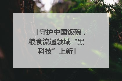 守护中国饭碗，粮食流通领域“黑科技”上新