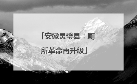 安徽灵璧县：厕所革命再升级
