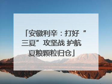 安徽利辛：打好“三夏”攻坚战 护航夏粮颗粒归仓