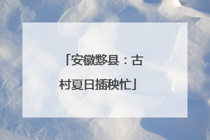 安徽黟县：古村夏日插秧忙