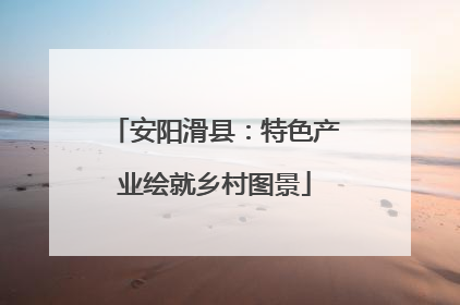 安阳滑县：特色产业绘就乡村图景