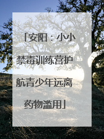 安阳：小小禁毒训练营护航青少年远离药物滥用